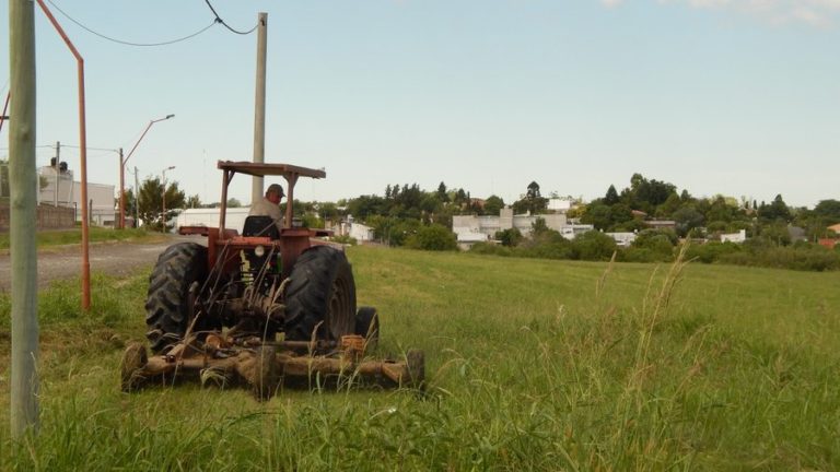 El Municipio refuerza el desmalezado de espacios públicos