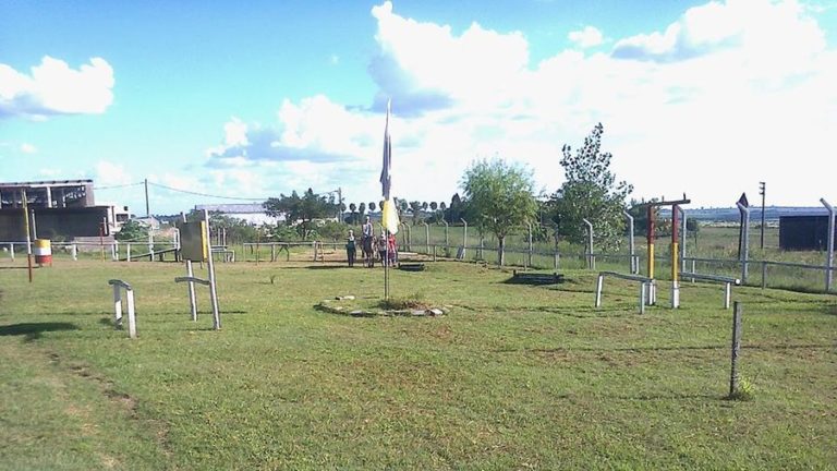 Equinoterapia: Profesionales de Oro Verde llevan sus conocimientos a Córdoba