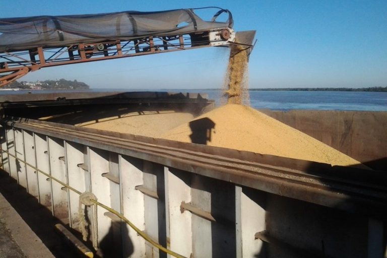 10 primeras empresas del complejo agroexportador argentino