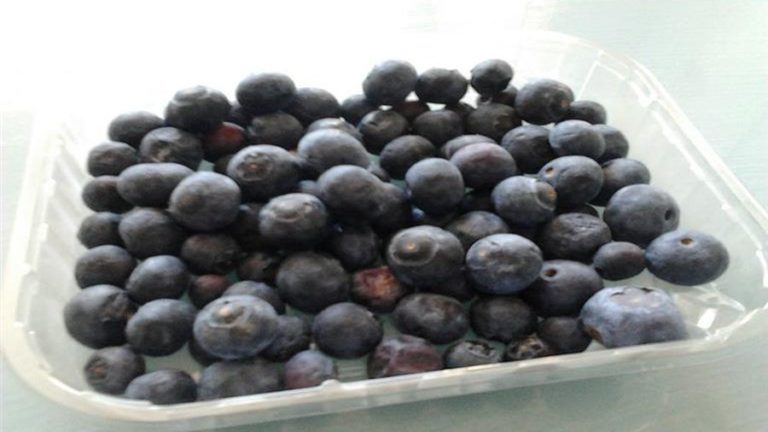 Tras la mención de Macri, productores de arándanos le reclaman “medidas concretas”