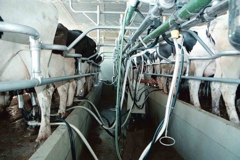 450 tambos cerrados en 2016 y se agrava la crisis