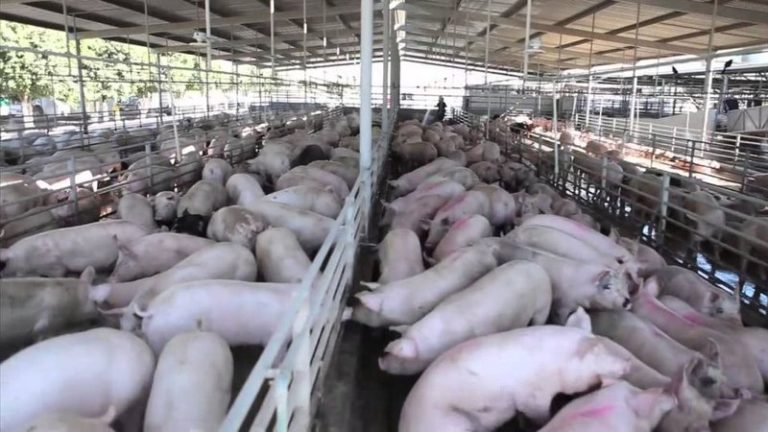 FAA: “En lugar de ser supermercado pasaremos a ser el depósito del mundo”