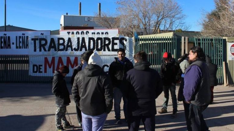 MAM: despidos en pleno auge productivo, mientras los obreros exigen la reincorporación