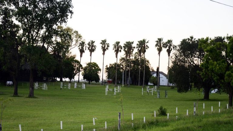 El Concejo Deliberante declaró un área natural protegida