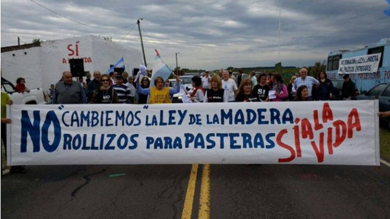 Diputados derogó la Ley de la Madera