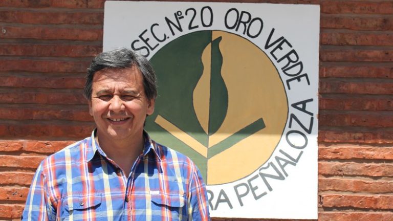 Pagani instó a la unidad para enfrentar el ajuste