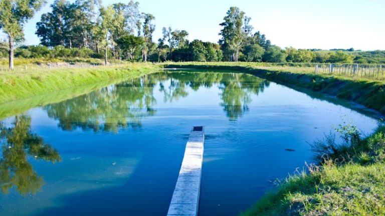 Licitación de la limpieza de Laguna de Tratamiento de Efluentes Cloacales