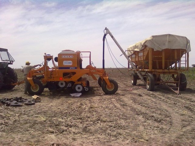 Alarmante cantidad de accidentes graves y fatales de trabajadores rurales