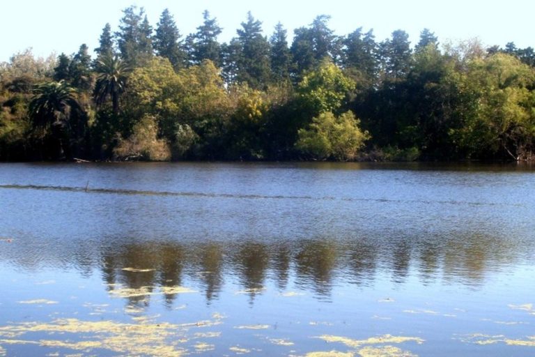 Más de medio millón de empleos en peligro