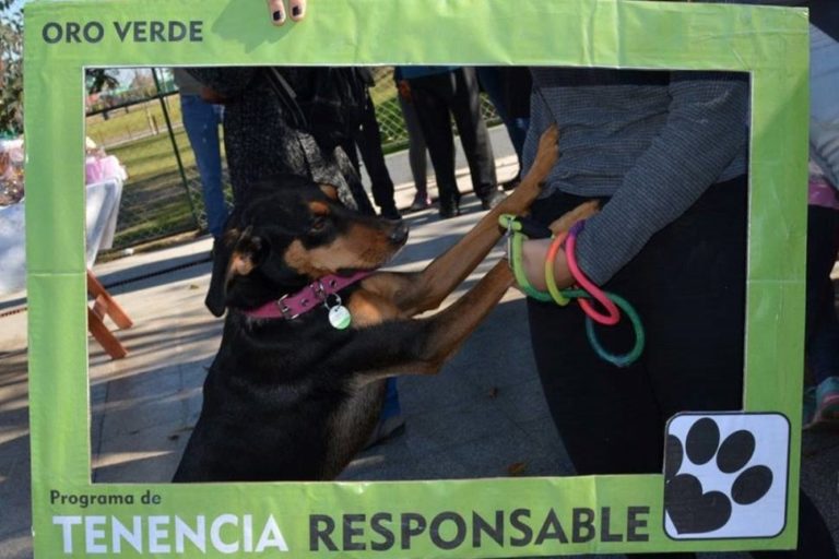 Vacunación antirrábica y desparasitación de animales de compañía