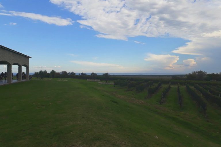 Crece la producción vitivinícola en Entre Ríos