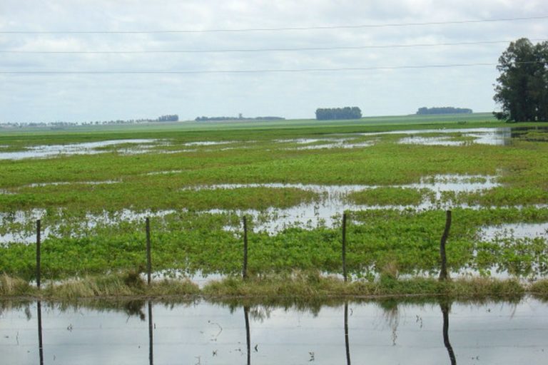 Lugares donde sobra el agua
