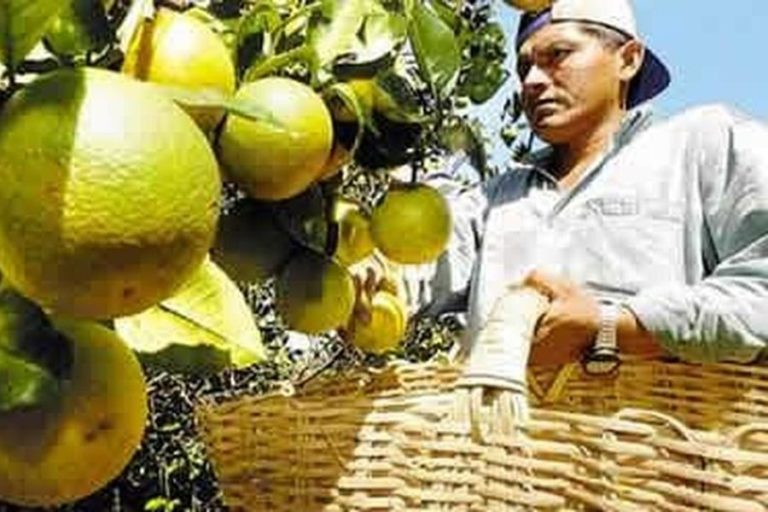 Pueblos trabajadores, infancias pobres