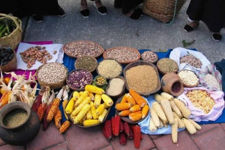 La ley de semillas quedó para el 2019