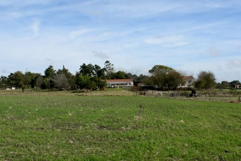 Un proyecto para ir hacia otro modelo productivo en el agro