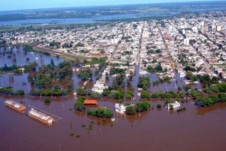 135 mil hectáreas en 10 años se perdieron en Entre Ríos por la deforestación