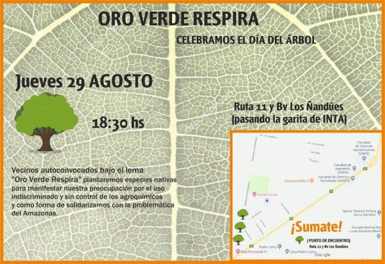 Vecinos de Oro Verde plantarán árboles