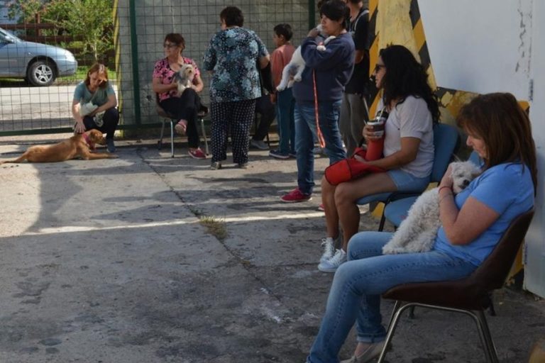 Lo qué pasó el día de esterilización de mascotas en Oro Verde