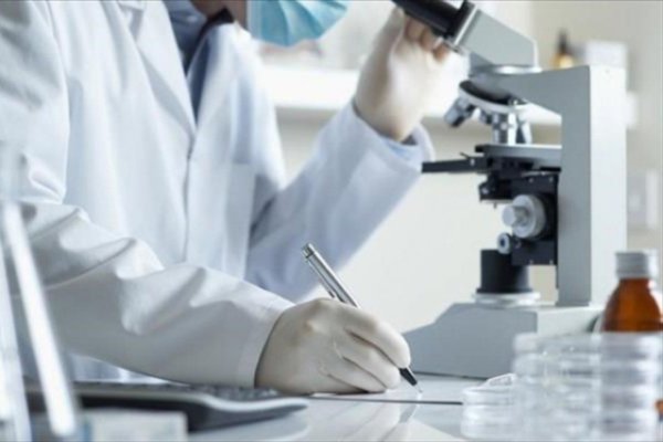 Hallaron anticuerpo que combate al coronavirus