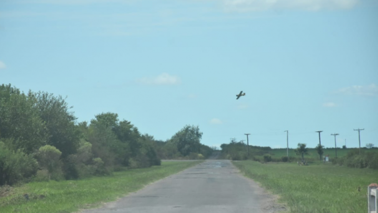 Sin acuerdo en la conciliación por la fumigación en Colonia Avigdor