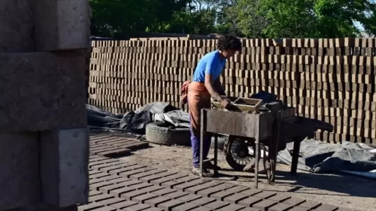 La gestión cooperativa de ladrilleras entrerrianas crece con el apoyo del Estado