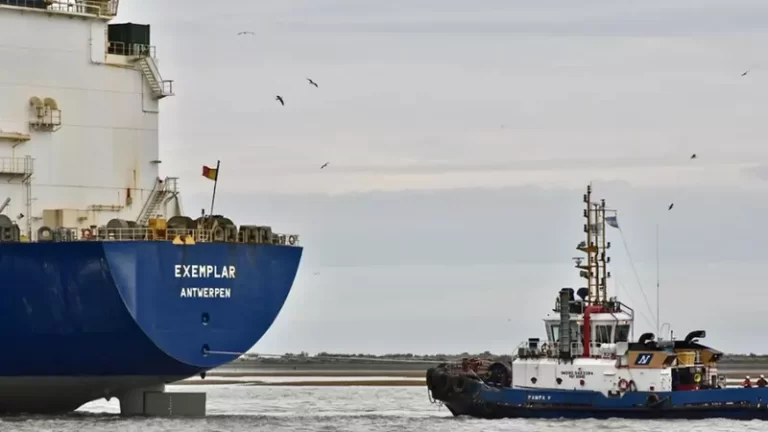 Se registró un récord de exportaciones de cereales y oleaginosas