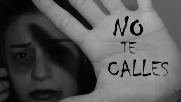 Se abrieron más de 8.000 expedientes por violencia familiar y de género