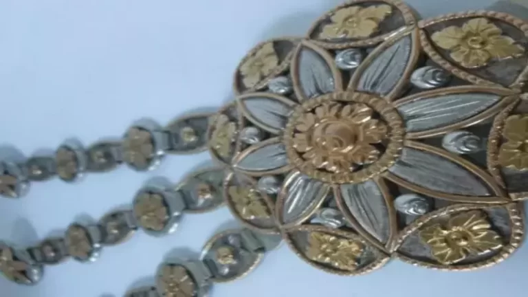 7º Encuentro Regional de Plateros, exposición y feria