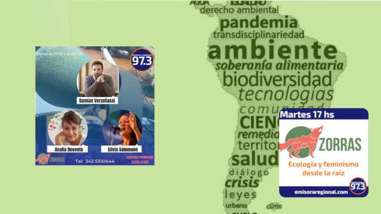 Los últimos datos de salud socio ambiental en Argentina