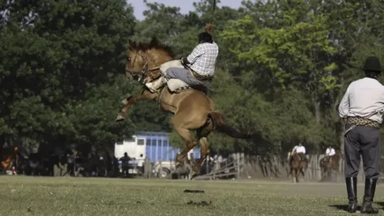 La jineteada de Oro Verde, en la cuerda floja por denuncias de maltrato animal