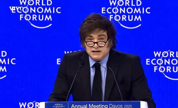 Milei y Trump se reúnen en Davos: análisis de un encuentro clave