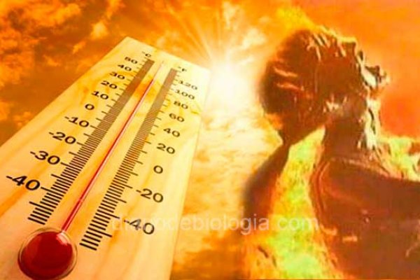 Alerta de Ola de Calor Intensa: Medidas y Precauciones para la Región