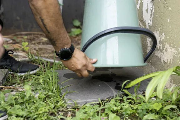 Descacharrizado: La Clave Esencial para Prevenir el Dengue