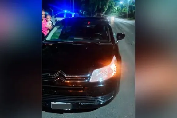 Choque con ciervo en Almafuerte, Paraná: un regreso trágico