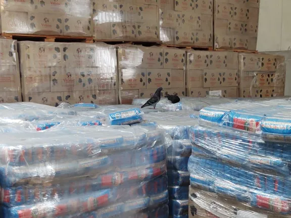 Denuncias en Ayuda Alimentaria Convocan Reunión Urgente del Diálogo Social