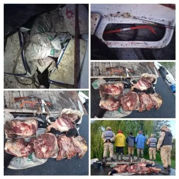 Detienen a tres hombres con 140 kilos de carne vacuna faenada en una lancha