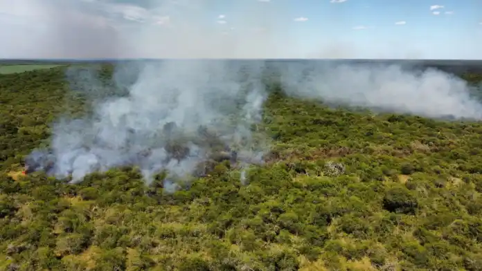 Incendios en Entre Ríos: Combaten Focos Activos y Evacúan Zonas Afectadas
