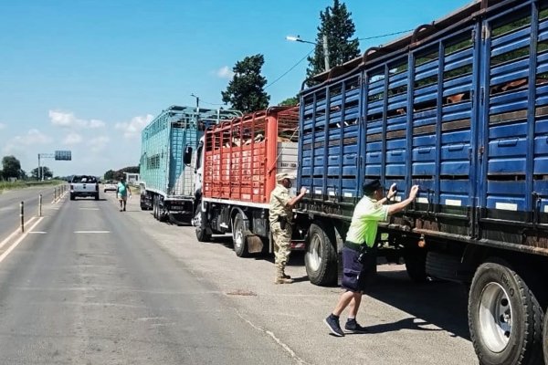 Ordenan retorno de hacienda por garrapatas en transporte de ganado