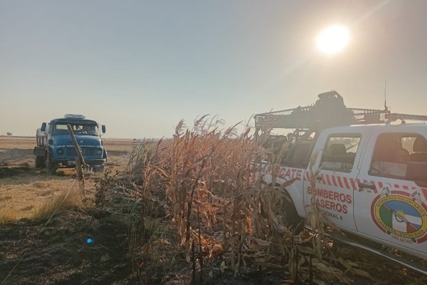 Bomberos Despliegan Operación Sin Precedentes para Combatir Incendios Rurales
