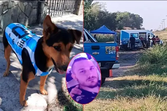 El Último Contacto: La Clave del Perro en la Investigación