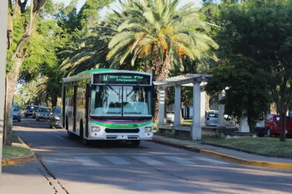 La Justicia provincial asume la causa del transporte: claves y alcances