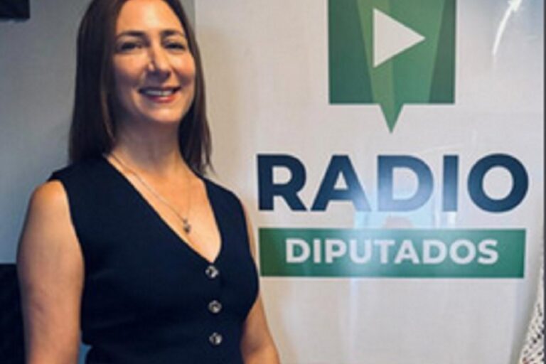 Análisis y Funciones del Área de Comisiones y Soporte Técnico Legislativo