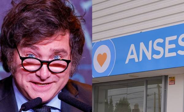 ANSES dejó de pagar más de 200.000 asignaciones por hijo en un año: causas y alcance