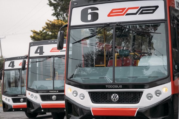 Boleto Gratuito para Docentes: Cómo Acceder al Transporte Urbano