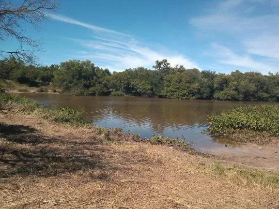 Desaparición de mujer en arroyo de Concordia: búsqueda en curso