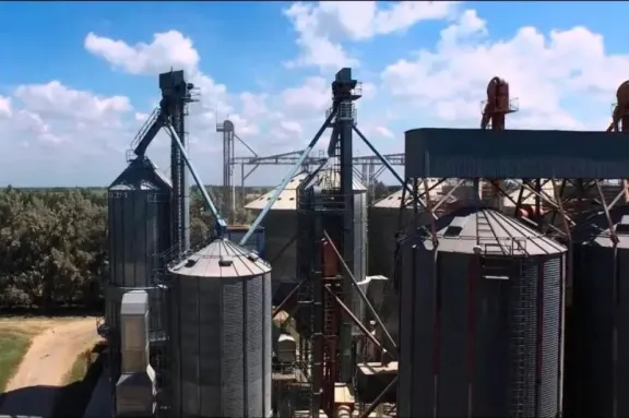 Accidente laboral fatal: trabajador muere tras caída de escalera en molino arrocero