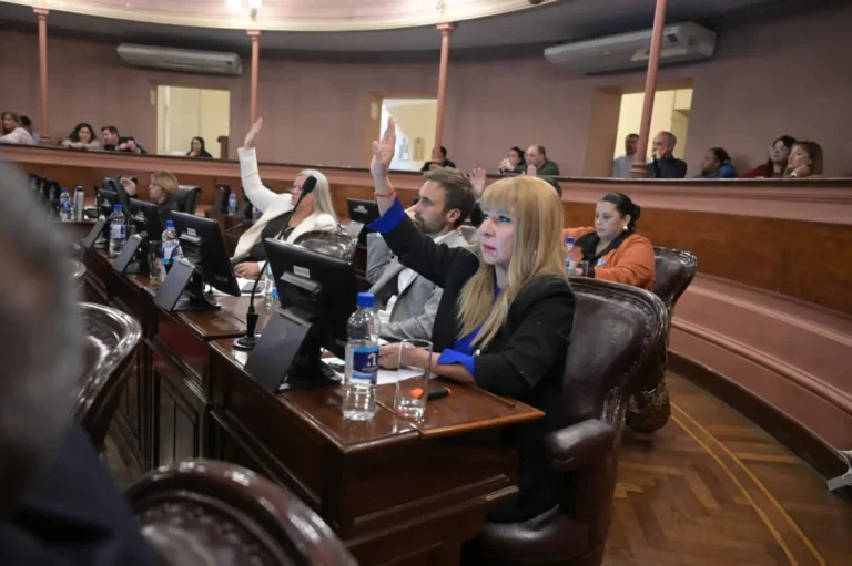 Diputados Delimita Comunas y Resalta su Impacto en la Autonomía Local