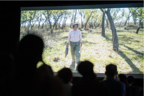 Reinscripción Obligatoria del REPIA: Requisitos y Plazos para Integrantes