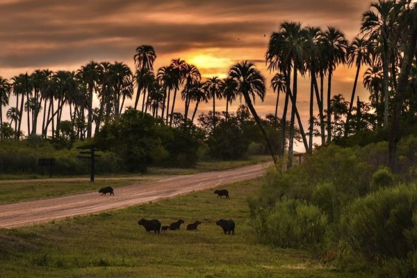 Pronóstico de la semana: Tiempo variable, alta humedad y alerta de tormentas