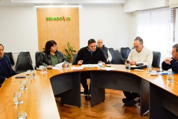 Senators Analyze Several Bills in Tuesday Session